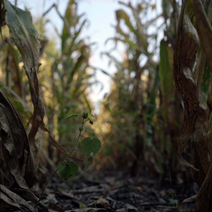 in the midst of things